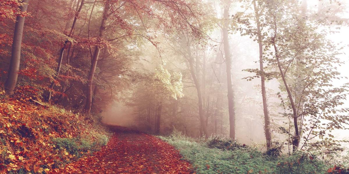 true essence love embracing