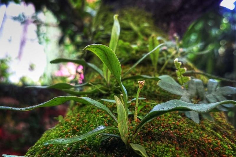 The Profound Truths of Buddhism: Unlocking the Wisdom of Enlightenment