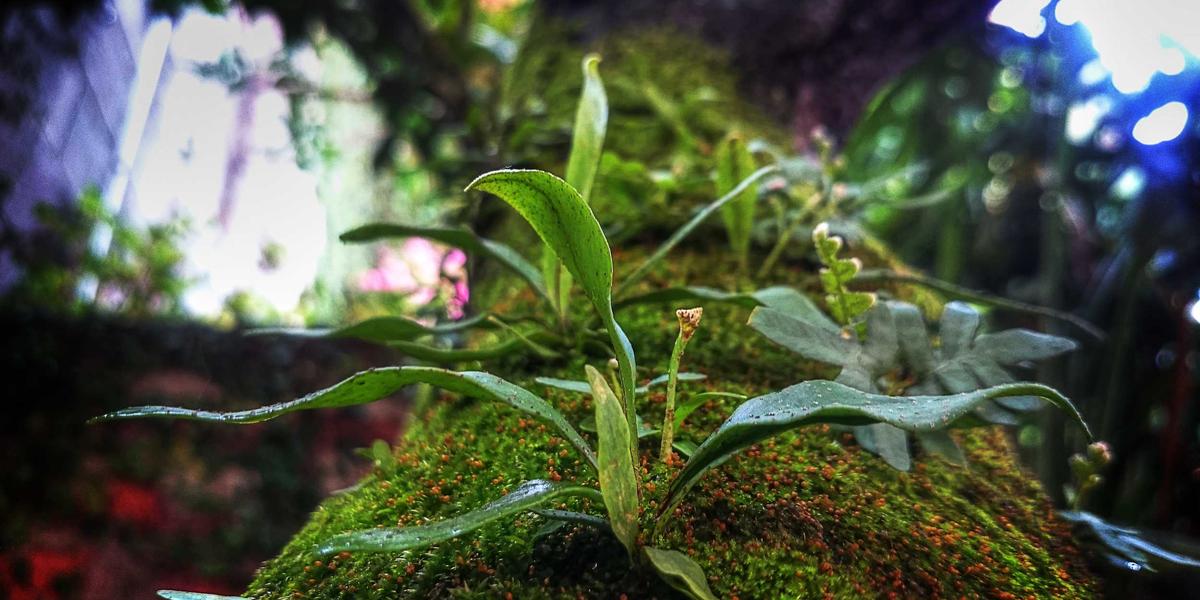 profound truths buddhism unlocking