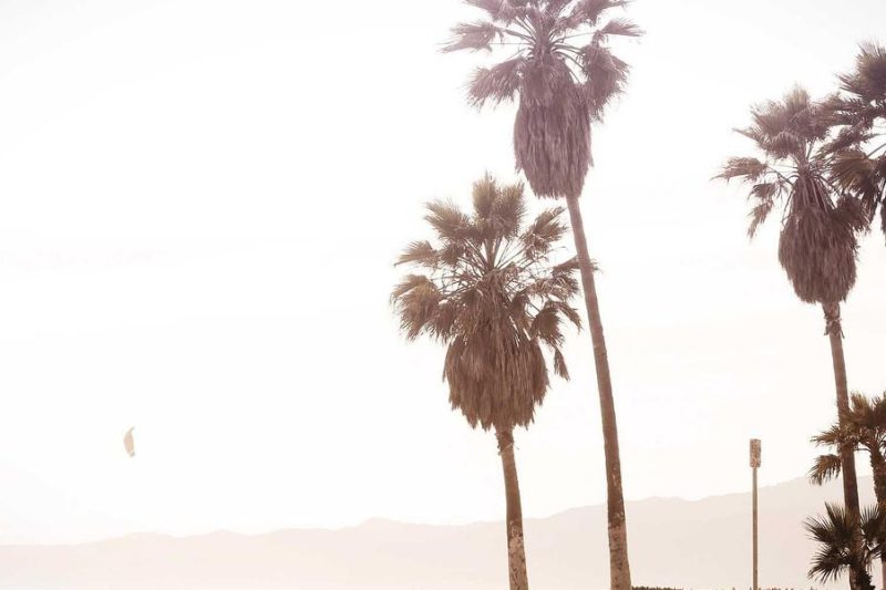 การสร้างความสำเร็จในชีวิตด้วยบทเรียนจาก Atomic Habits