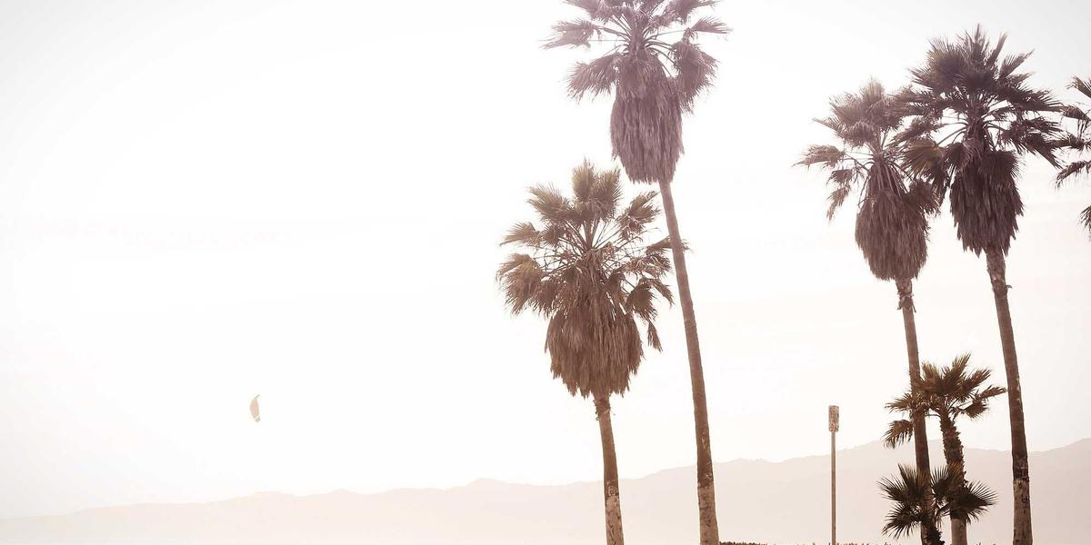 การสร้างความสำเร็จในชีวิตด้วยบทเรียนจาก atomic habits