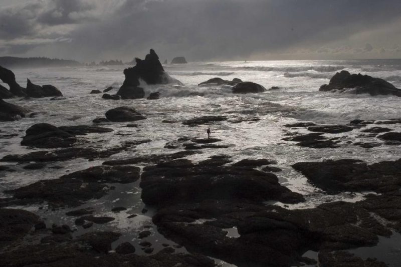 5 หลักการสร้างสรรค์ที่ได้จาก Steal Like an Artist เพื่อเปลี่ยนชีวิตคุณ