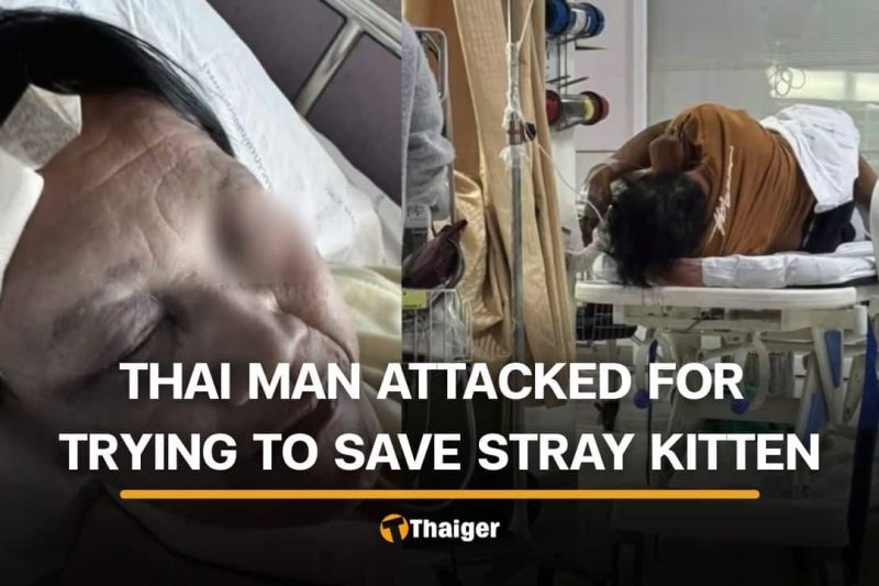 Thai man brutally attacked for allegedly saving cat in Samut Prakan