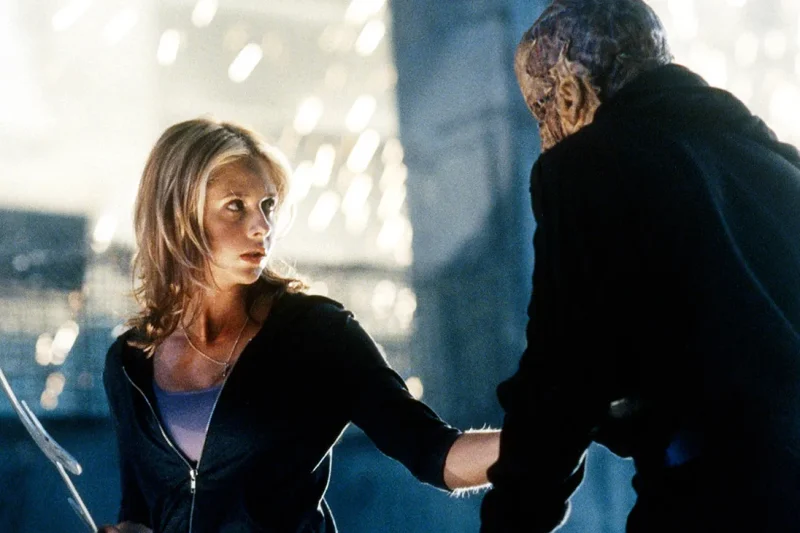 ‘Buffy The Vampire Slayer’ Cast: Where Are They Now?