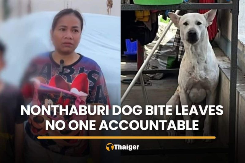 Mother questions law after dog bite leaves no one accountable