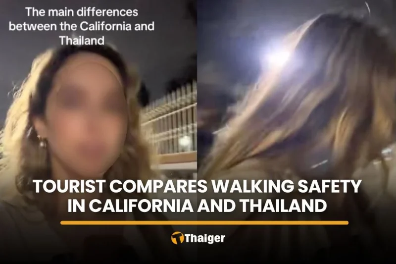 Tourist says they fear dogs, not humans, on streets in Thailand