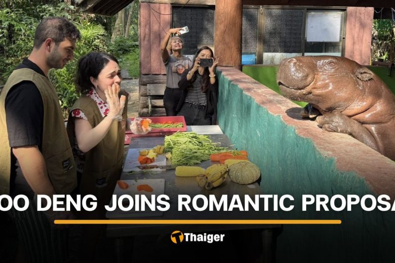 Italian couple gets engaged in front of pygmy hippo Moo Deng